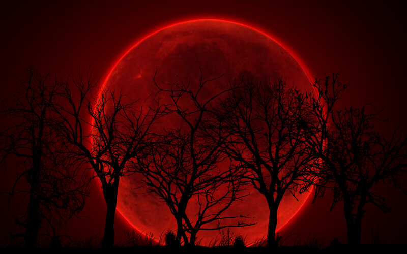 Silhouetted Trees under Red Moon