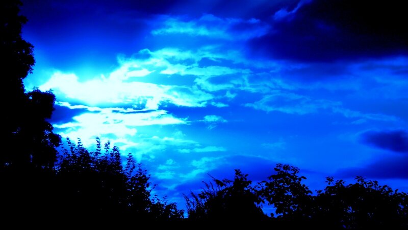 Silhouetted Trees under Sky — Blue, Dramatic