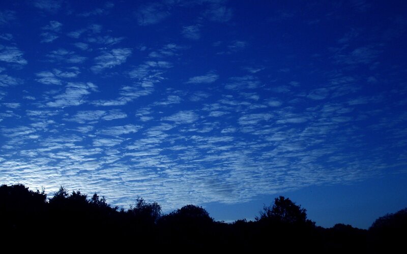 Silhouetted Trees under Sky — Blue, Serene, Night, Photograph, Clouds, Black