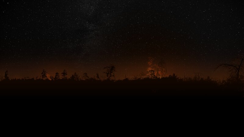 Silhouetted Trees under Stars — Black, Dramatic, Night