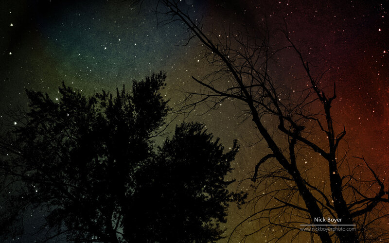 Silhouetted Trees under Stars — Black, Dramatic