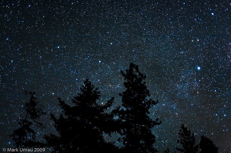 Silhouetted Trees under Stars — Black