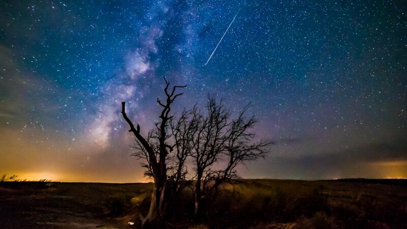 Silhouetted Trees under Stars — Blue, Serene, Night, Photograph, Milky Way, Meteor