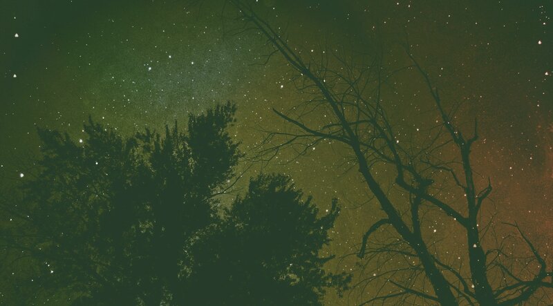 Silhouetted Trees under Stars — Green