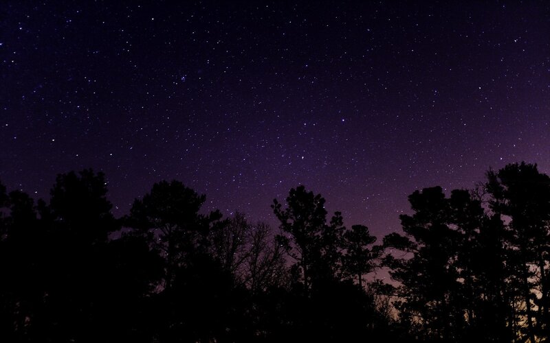 Silhouetted Trees under Stars — Purple, Serene, Night, Photograph, Sky