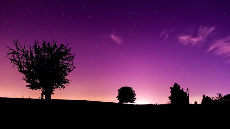 Silhouetted Trees under Stars — Purple, Serene, Night