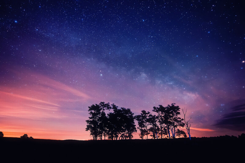 Silhouetted Trees under Stars — Purple, Serene