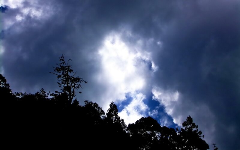 Silhouetted Trees under Stormy Sky — Black, Dramatic