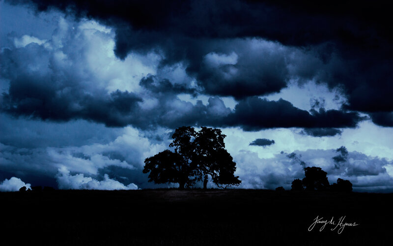 Silhouetted Trees under Stormy Sky — Blue