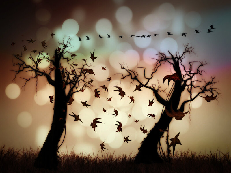 Silhouetted Trees with Birds — Black