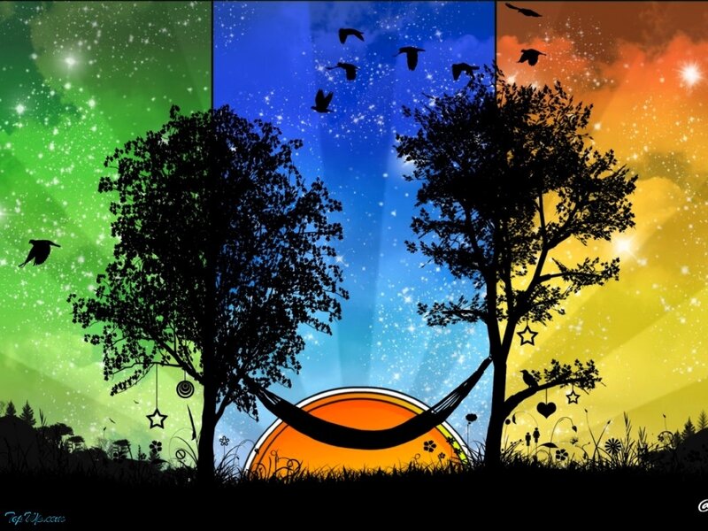 Silhouetted Trees with Hammock