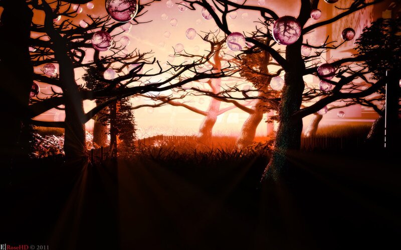 Silhouetted Trees with Orbs