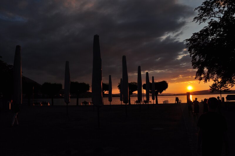 Silhouetted Umbrellas at Sunset