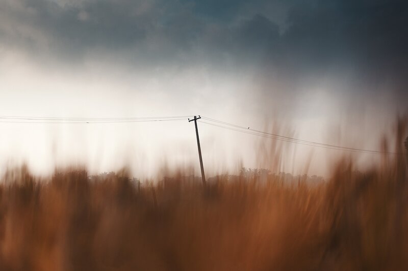 Silhouetted Utility Pole — Brown