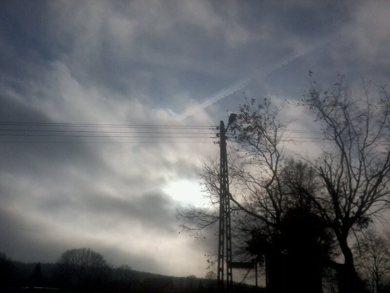 Silhouetted Utility Pole