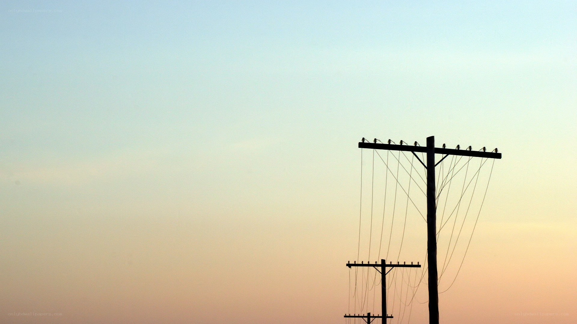 Silhouetted utility poles at dusk