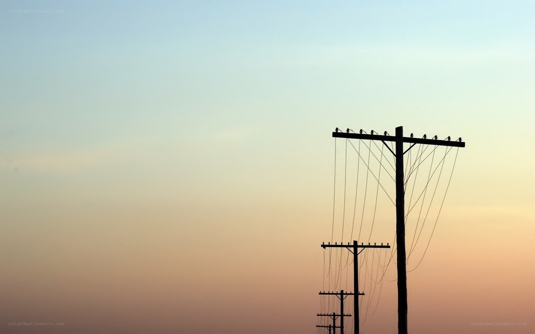 Silhouetted utility poles at dusk