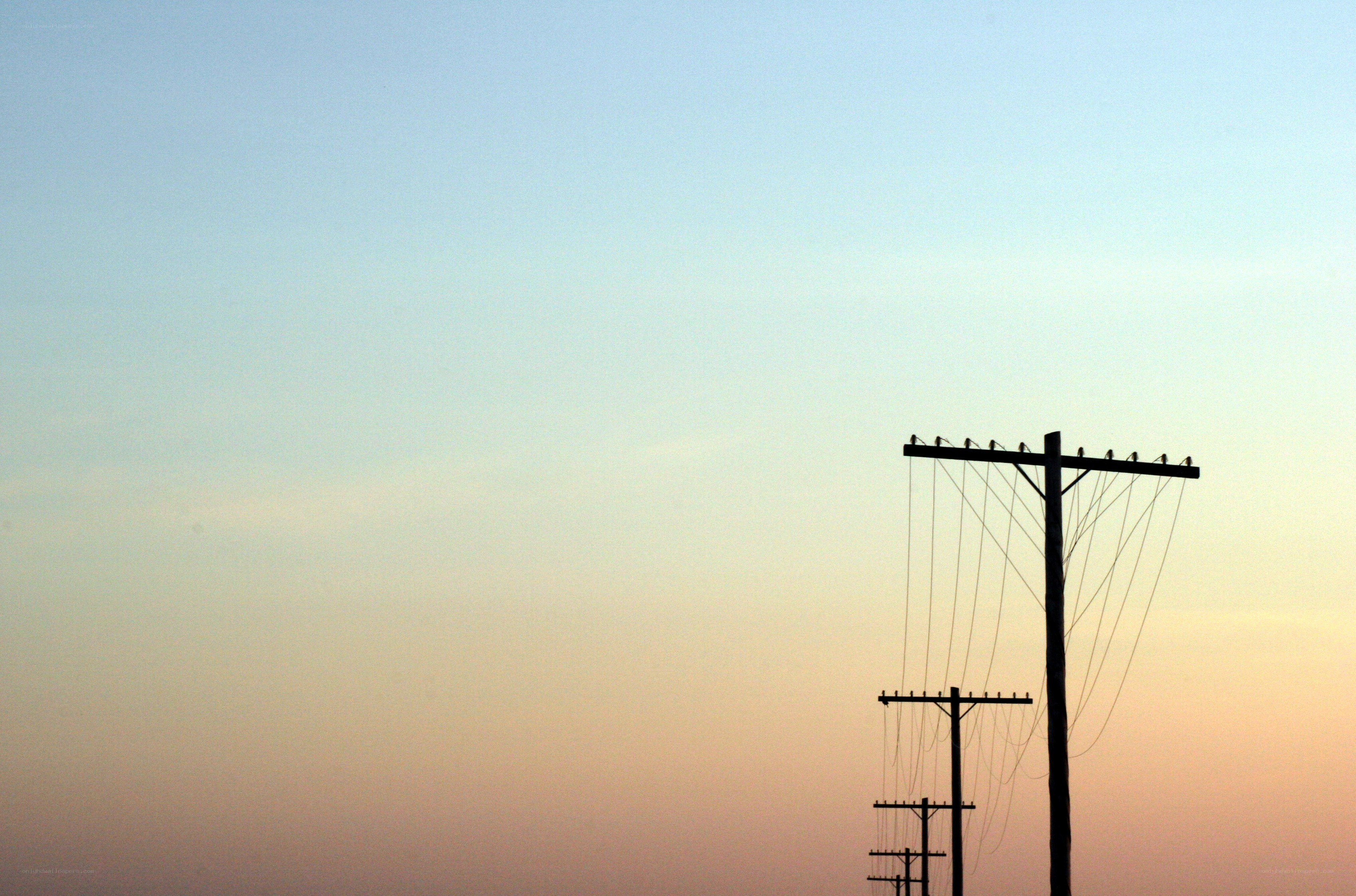 silhouetted utility poles at dusk