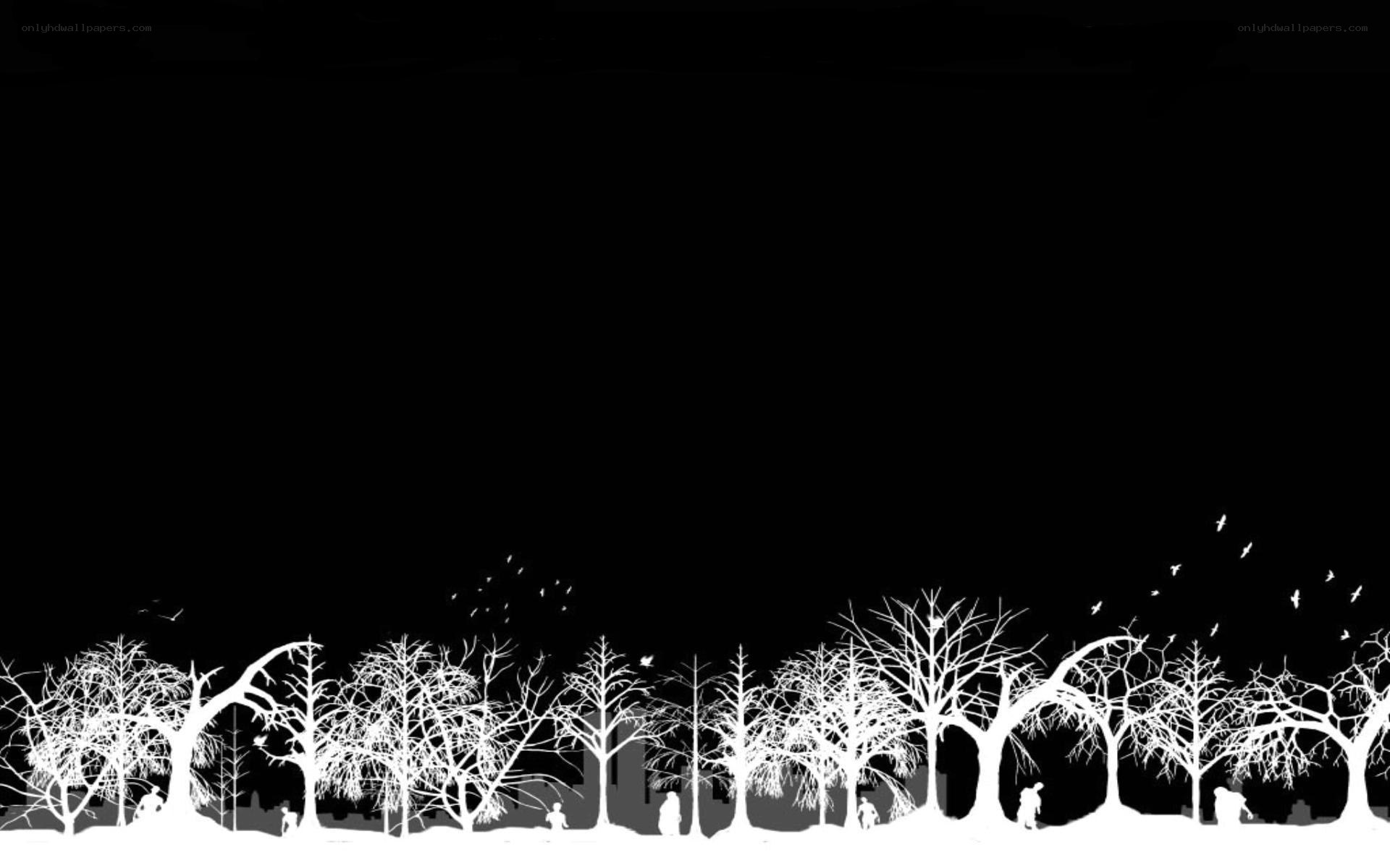 Silhouetted winter forest