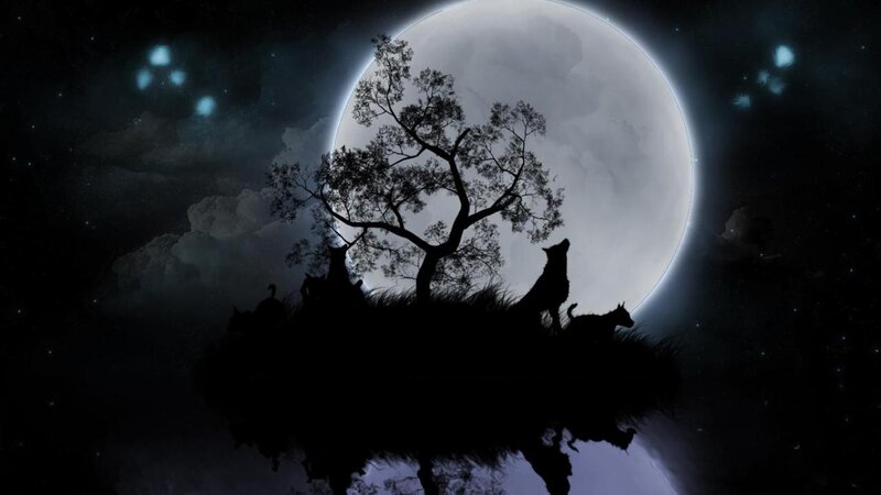 Silhouetted Wolves Howling — Black
