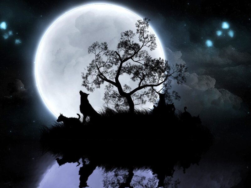 Silhouetted Wolves Howling