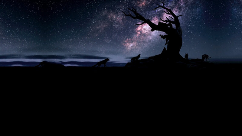 Silhouetted Wolves under Stars