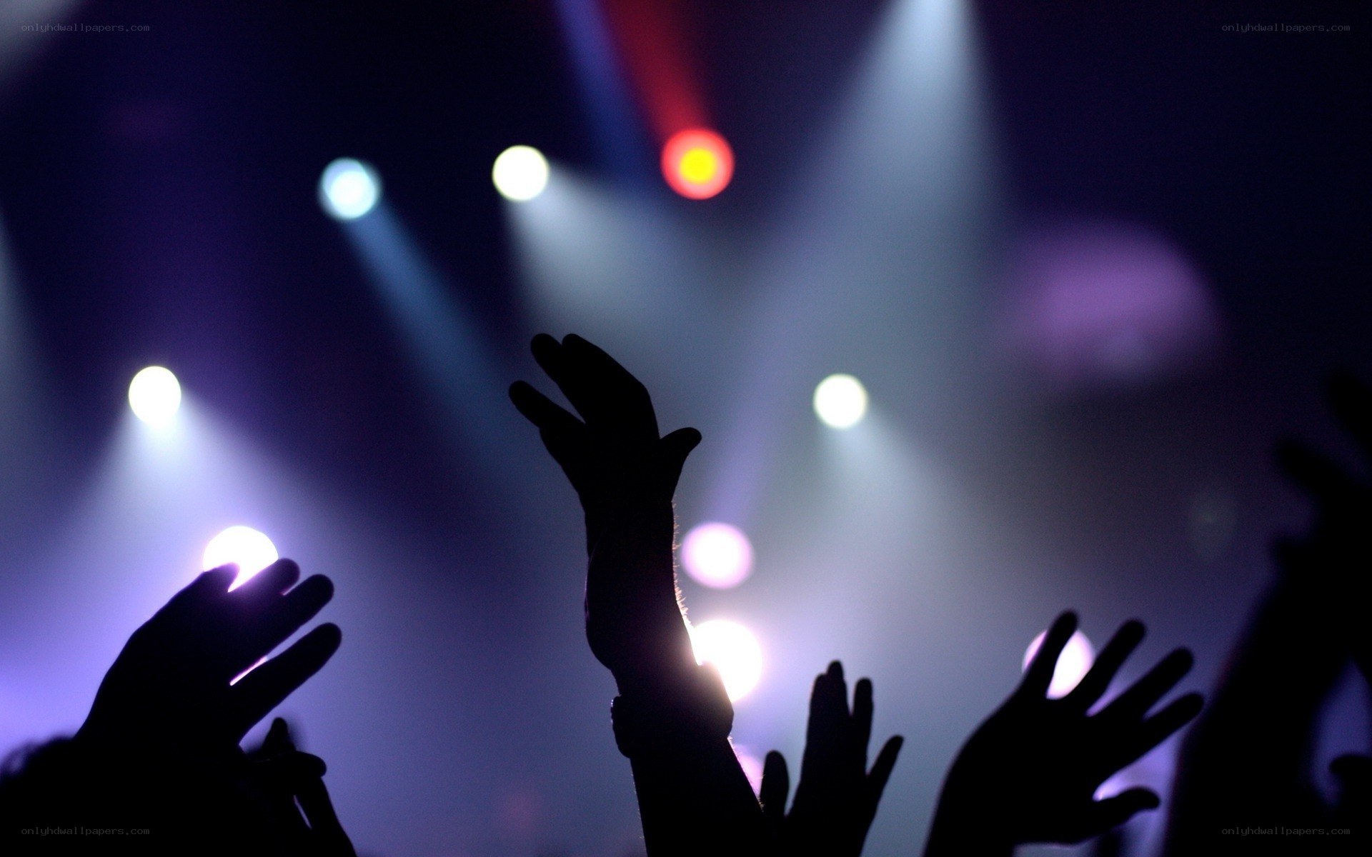 silhouettes at a concert
