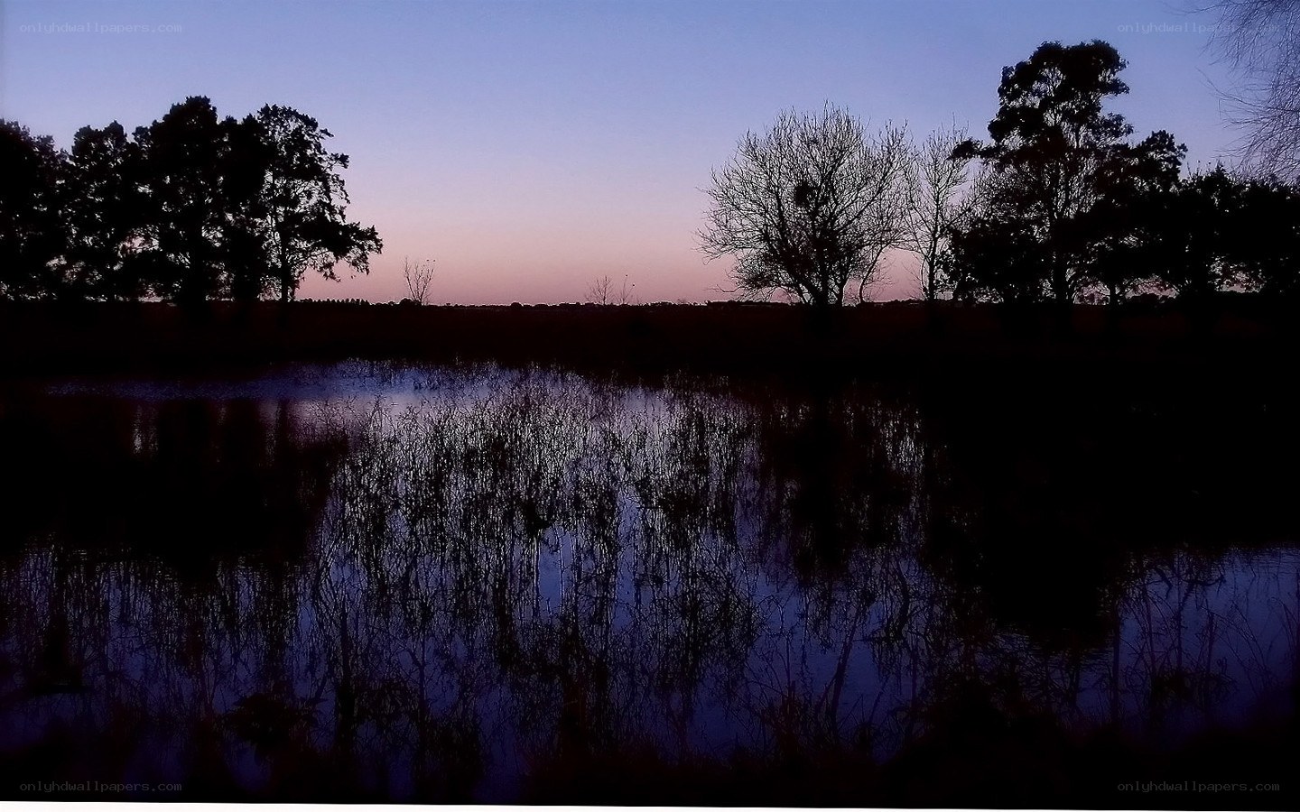 Silhouettes at dusk by the water