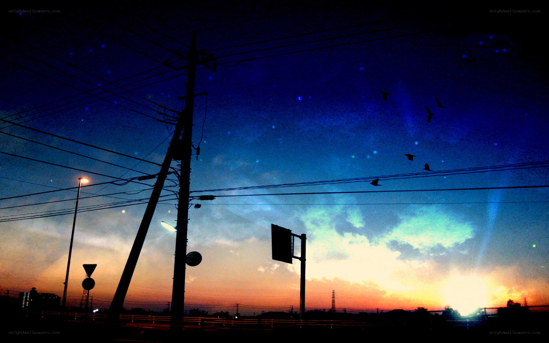 Silhouettes at dusk with birds