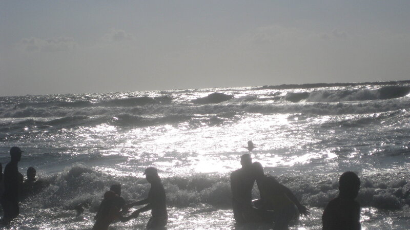 Silhouettes at Ocean Shore
