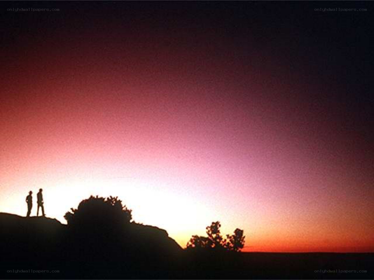 Silhouettes at sunset