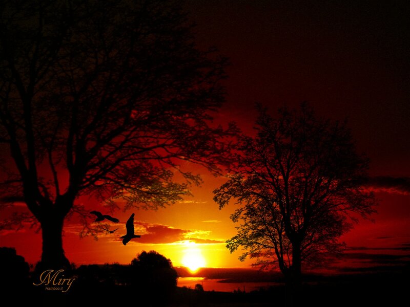 Silhouettes at sunset