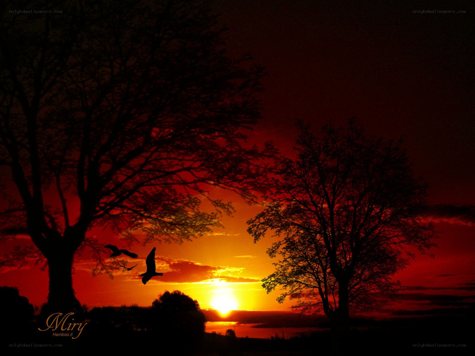 Silhouettes at sunset