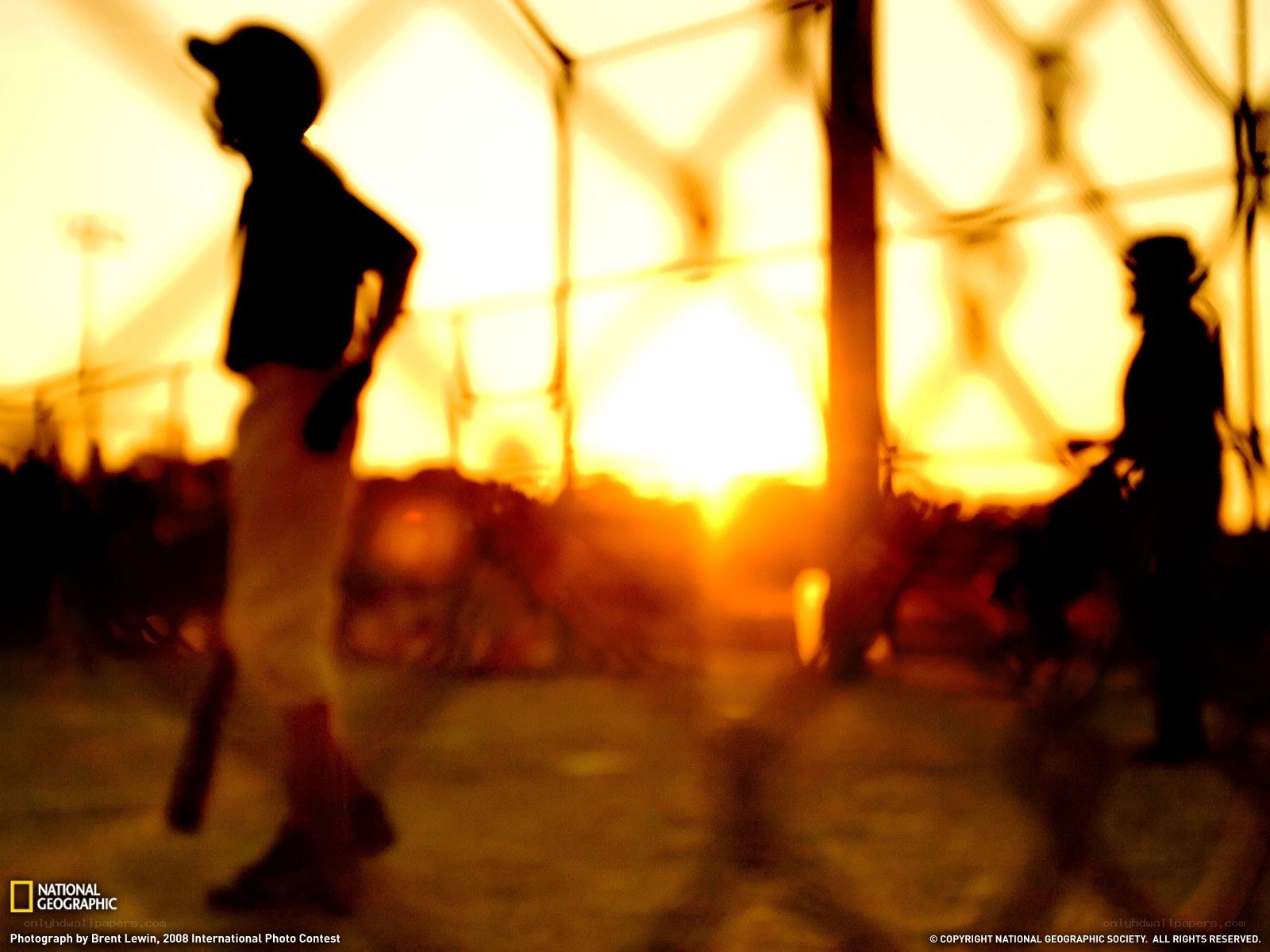 Silhouettes at sunset