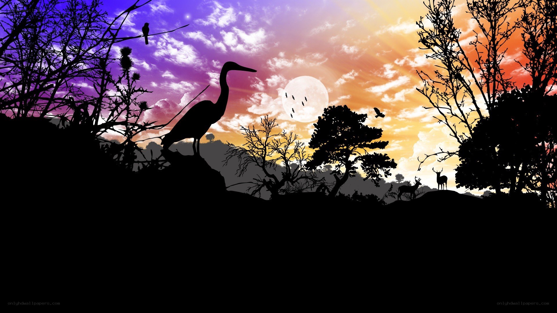 Silhouettes at sunset
