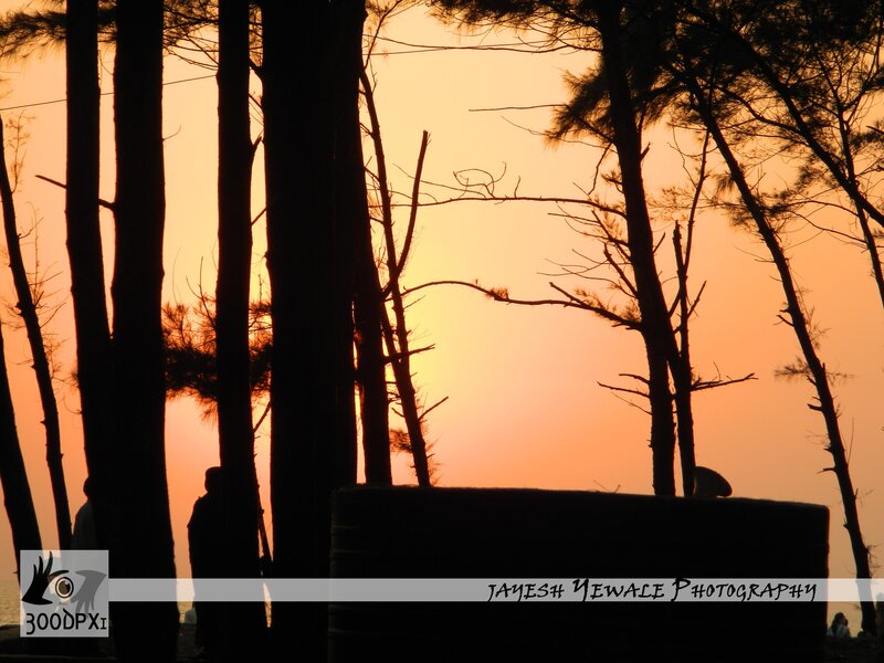 Silhouettes at Sunset