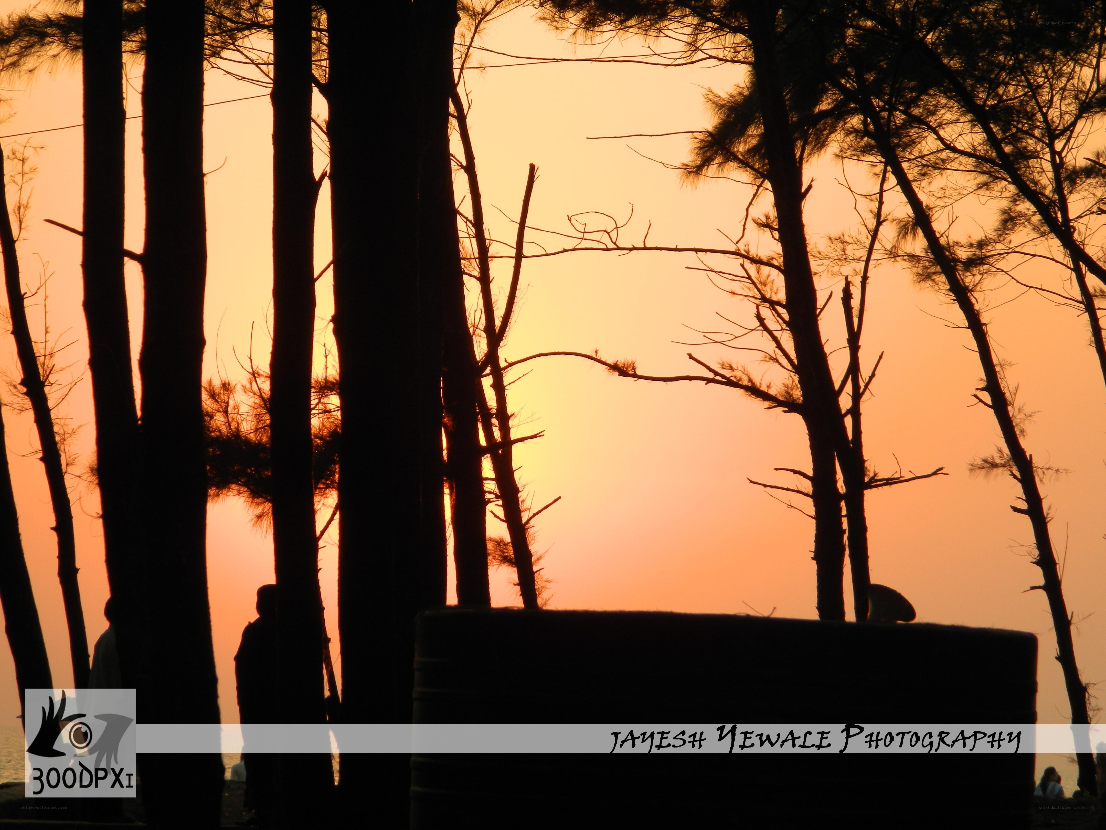 Silhouettes at Sunset