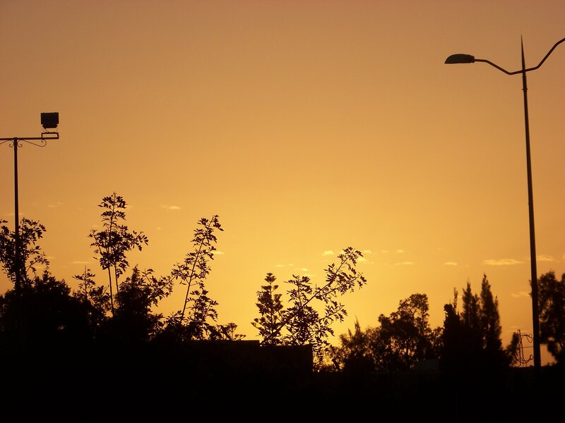 silhouettes at sunset