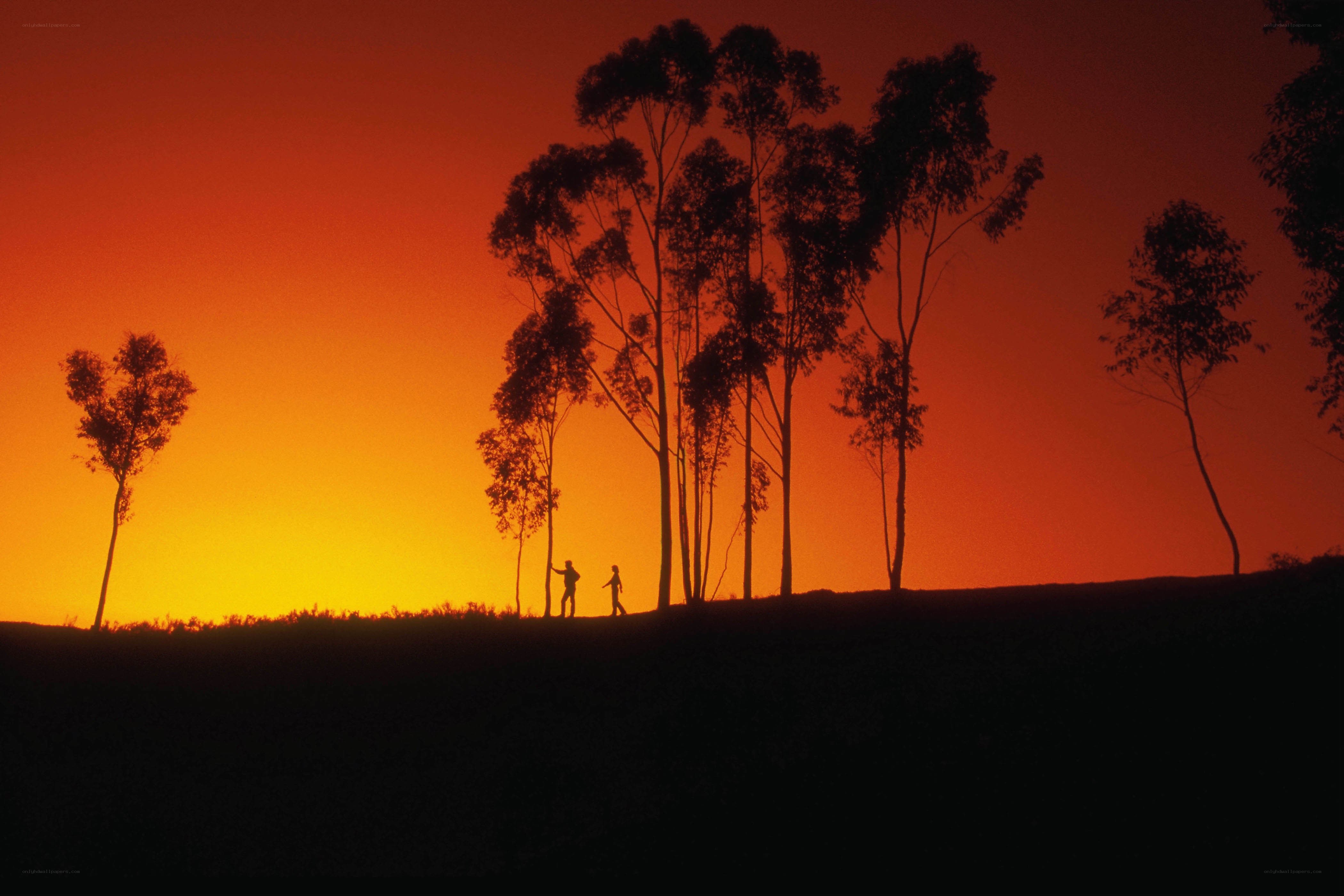 Silhouettes at sunset