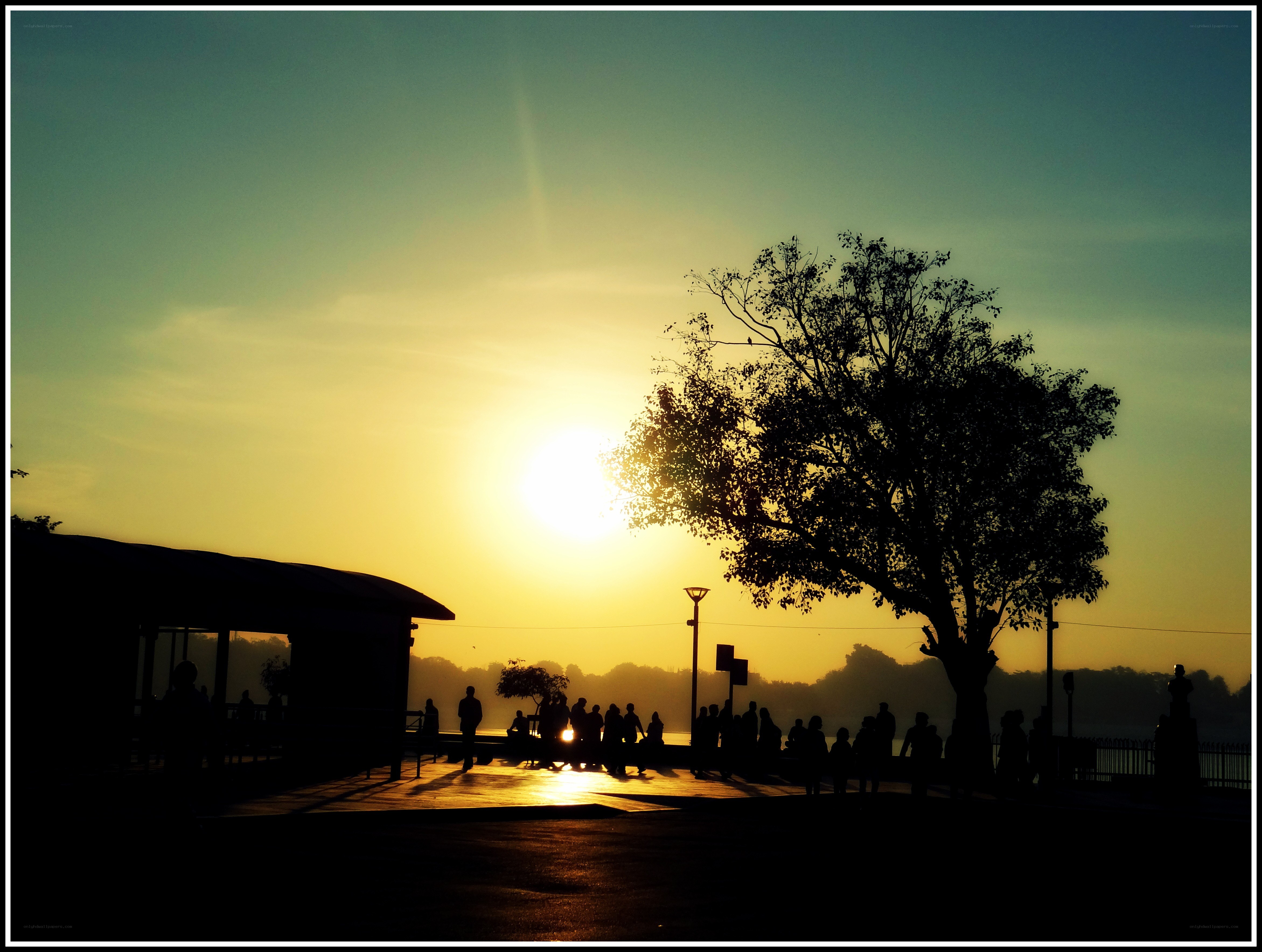 Silhouettes at sunset by the water