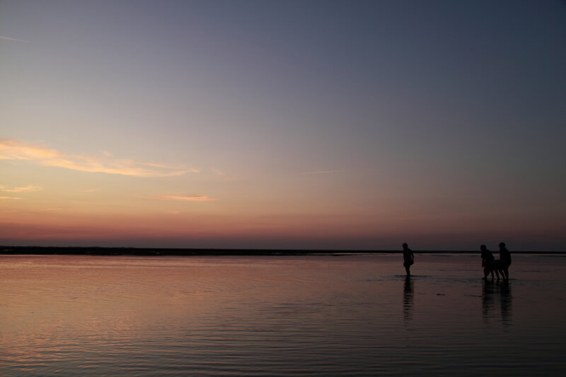 Silhouettes at sunset on the beach