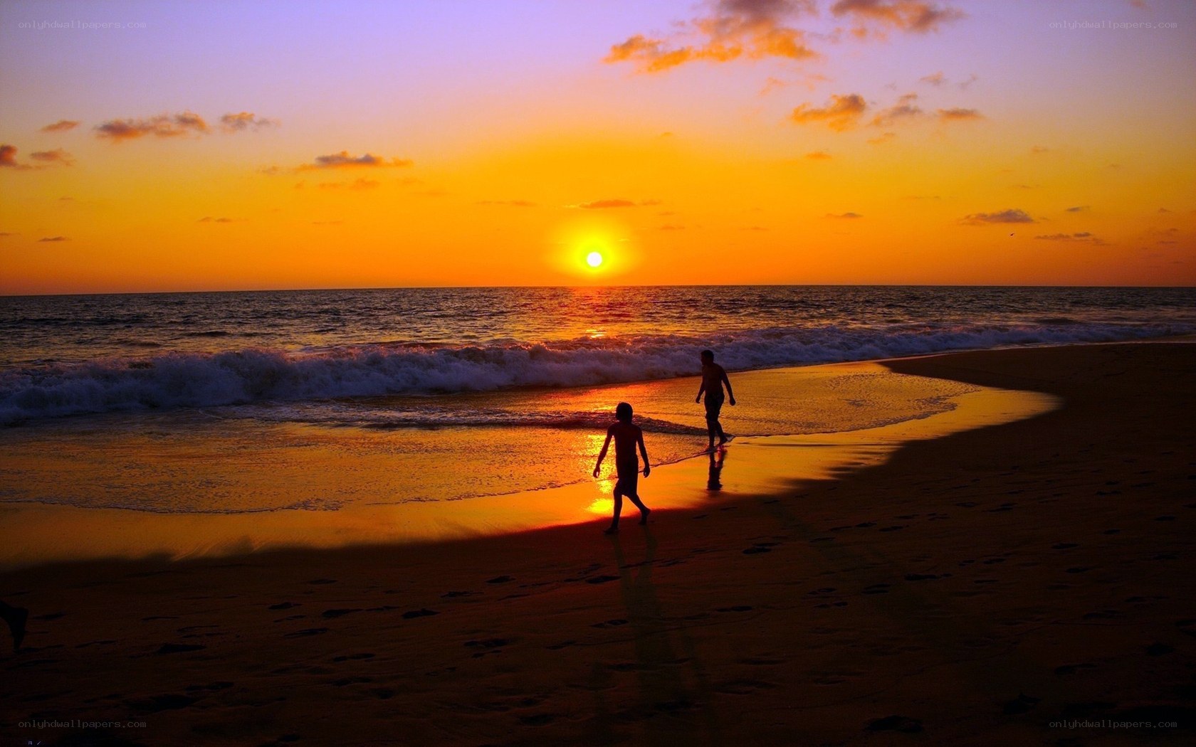 Silhouettes at sunset on the beach