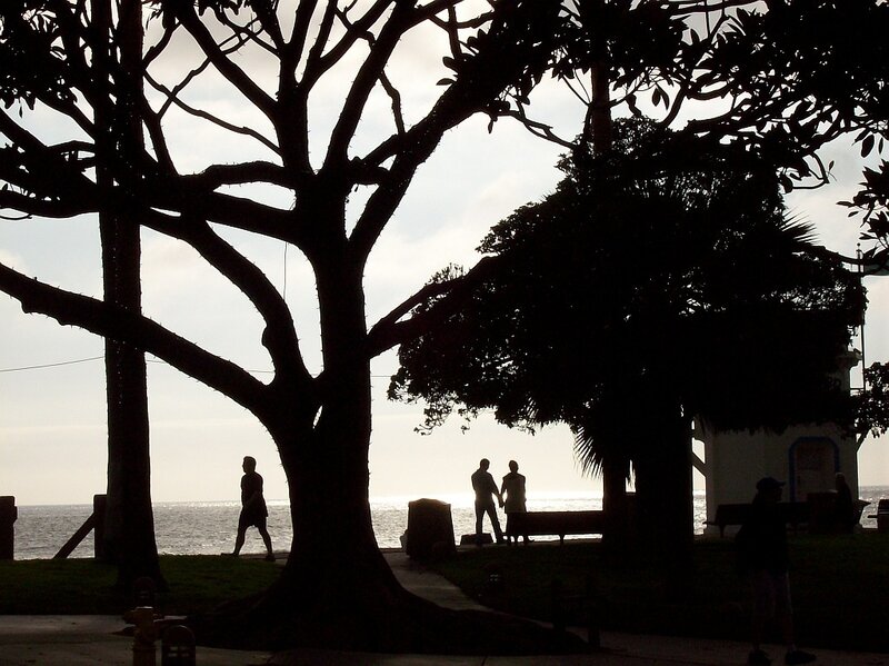 Silhouettes at the seaside park