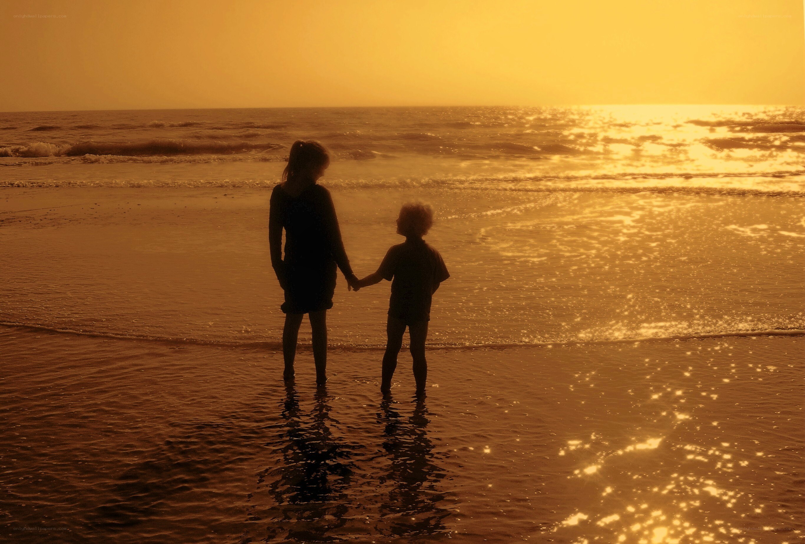 Silhouettes holding hands on beach
