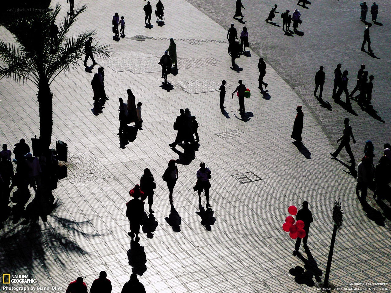 Silhouettes in a bustling square