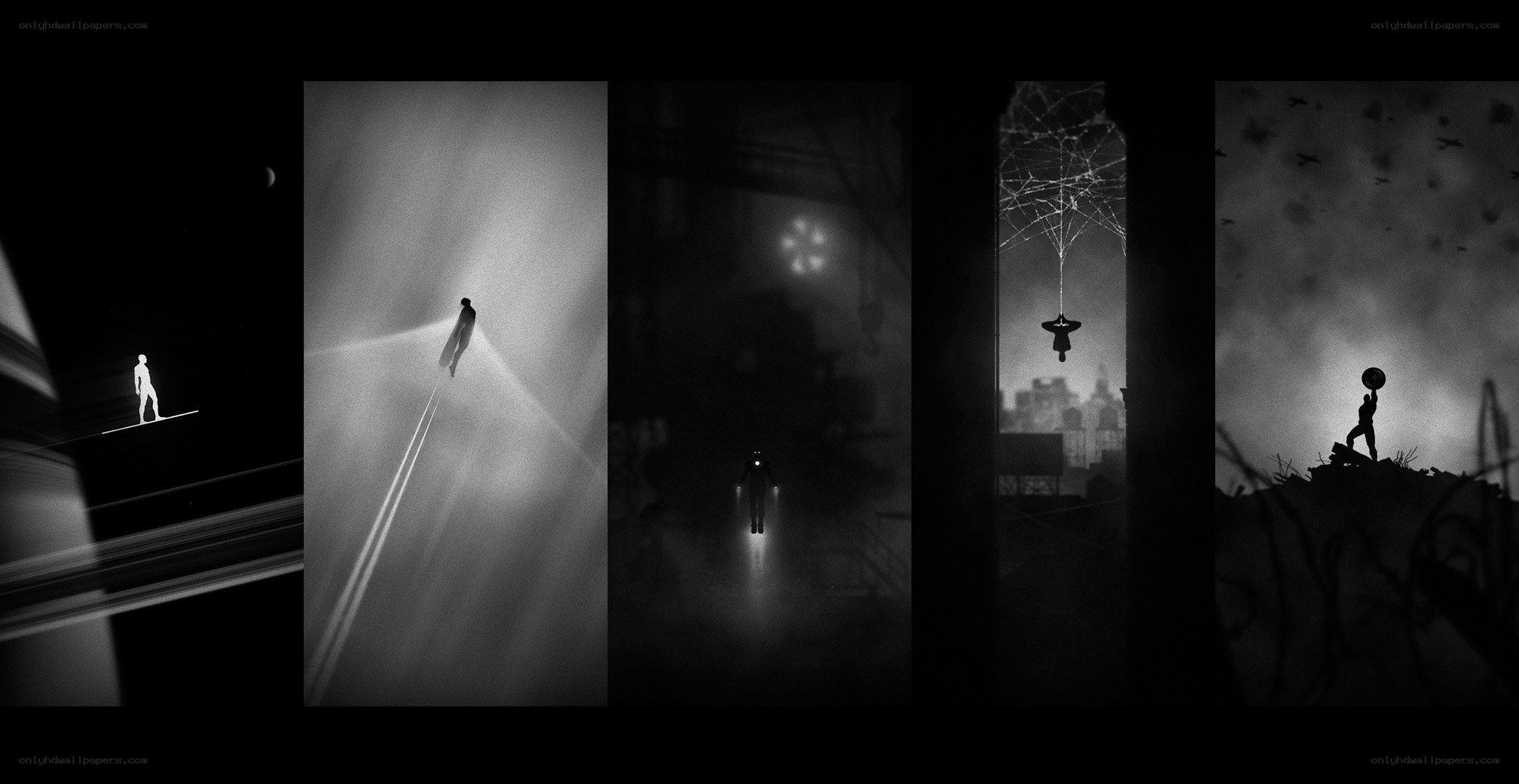 Silhouettes in a dark world