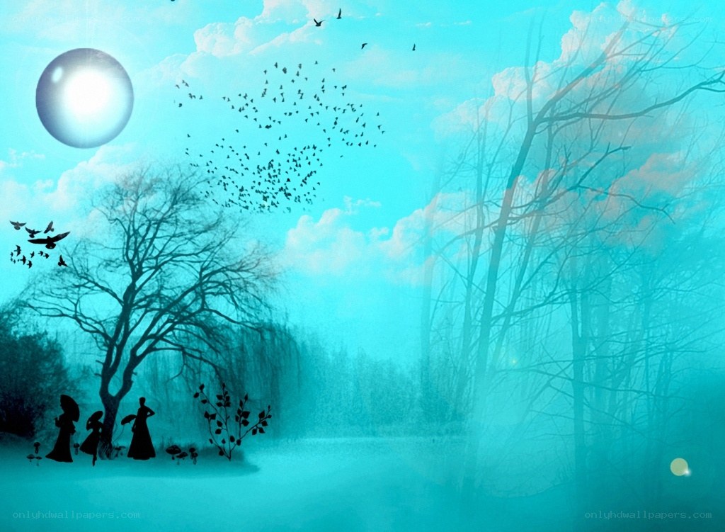 Silhouettes in a dreamy forest