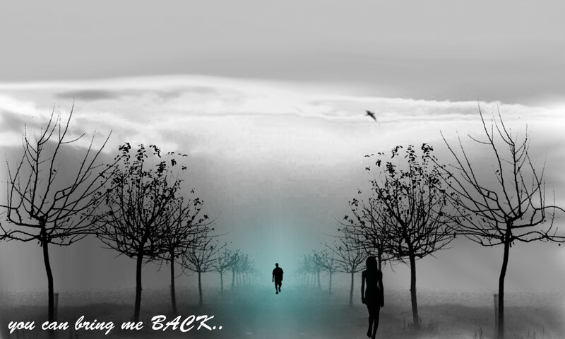 silhouettes in a foggy path