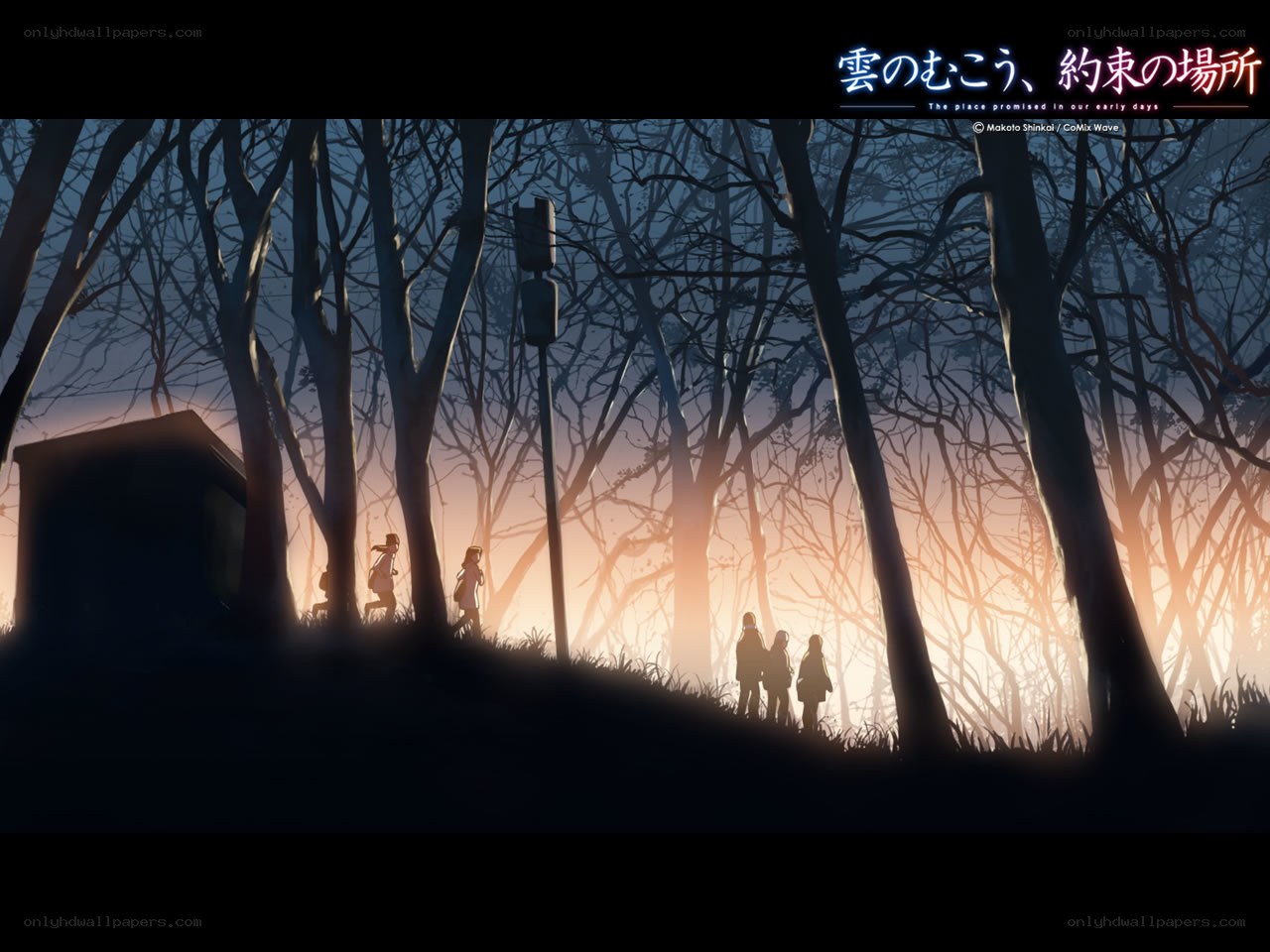Silhouettes in a forest at dusk