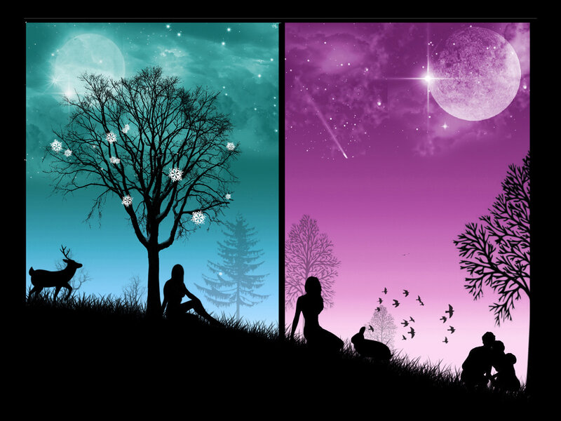 Silhouettes in Night Landscape